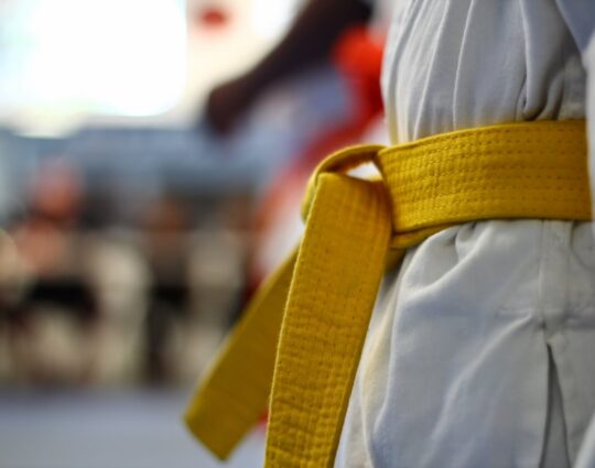 LSS Maryland-Lean Six Sigma Yellow Belt LSS Maryland-Lean Six Sigma Yellow Belt